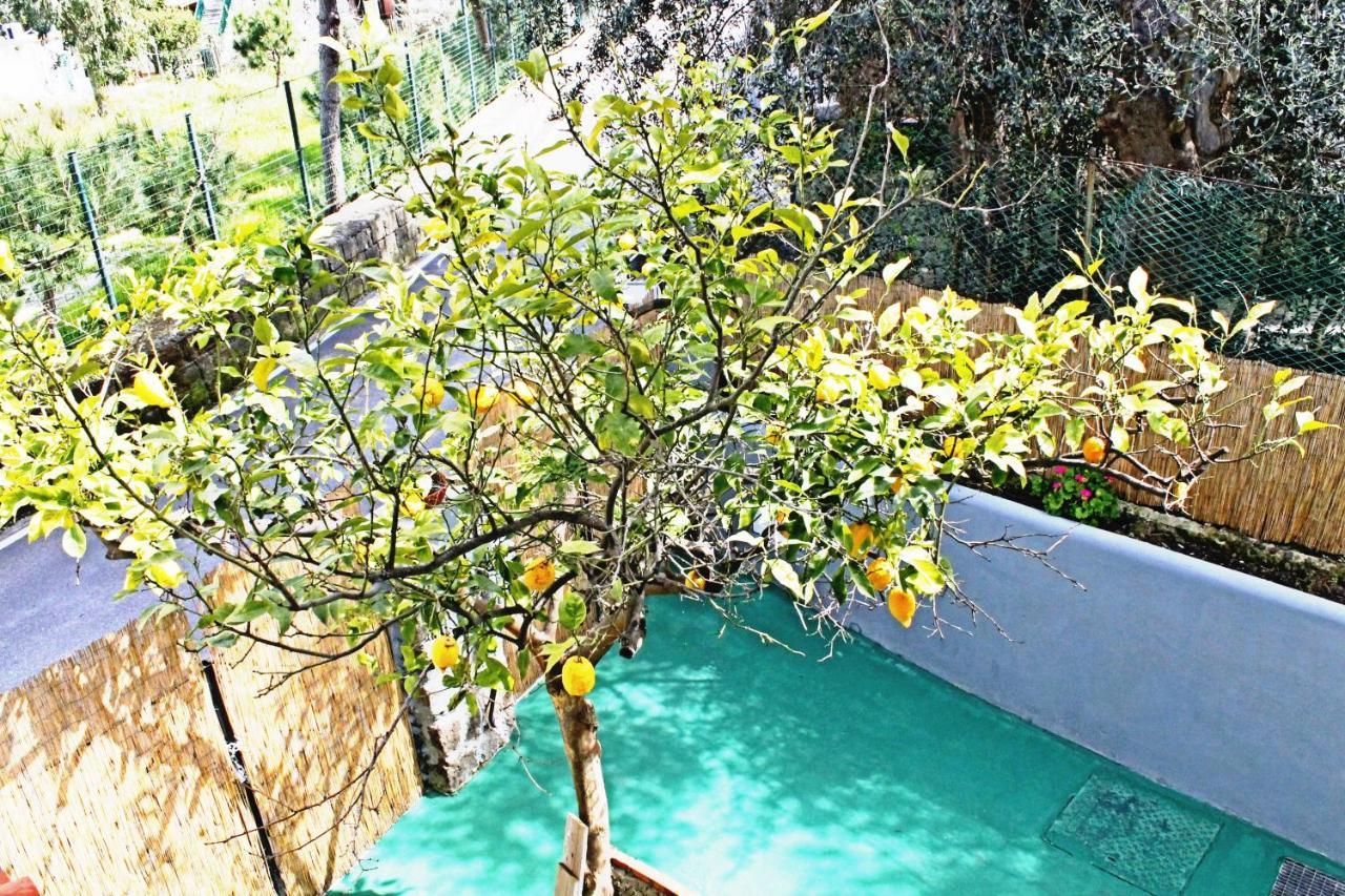 Appartamento Ischiablue Forio di Ischia Esterno foto